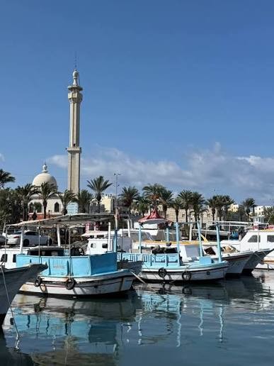 قوارب الميناء